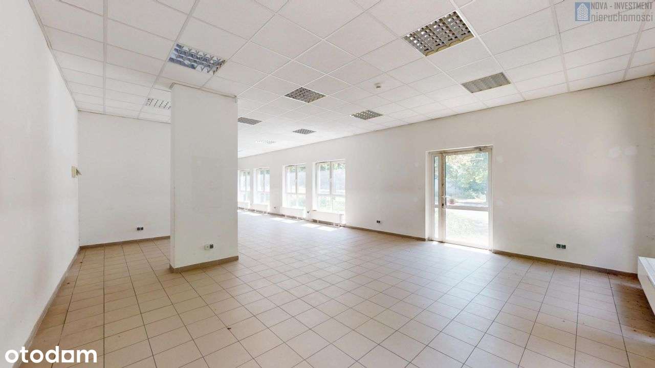 Parter | centrum | 3 wejścia | witryny | wys. 3m - Pełny obrazek: 4/15