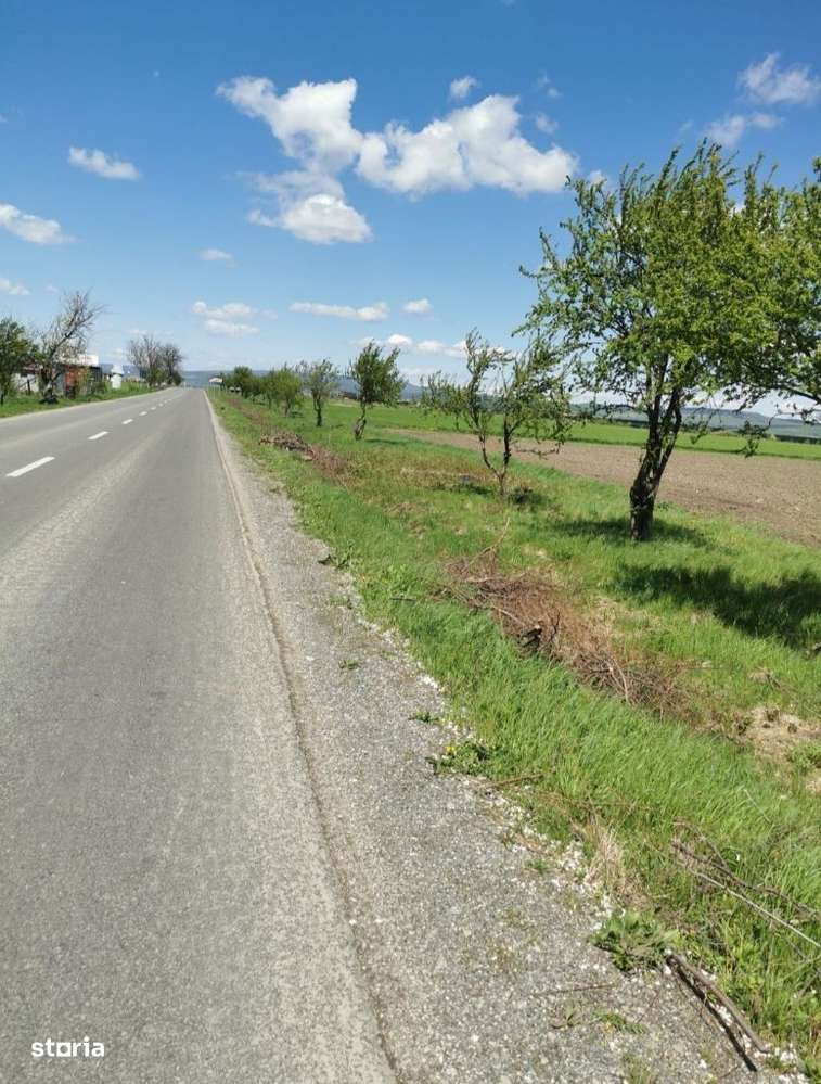 Ocazie ! Parcele 600 mp Sânpetru plata în rate! - Imagine principală: 3/4