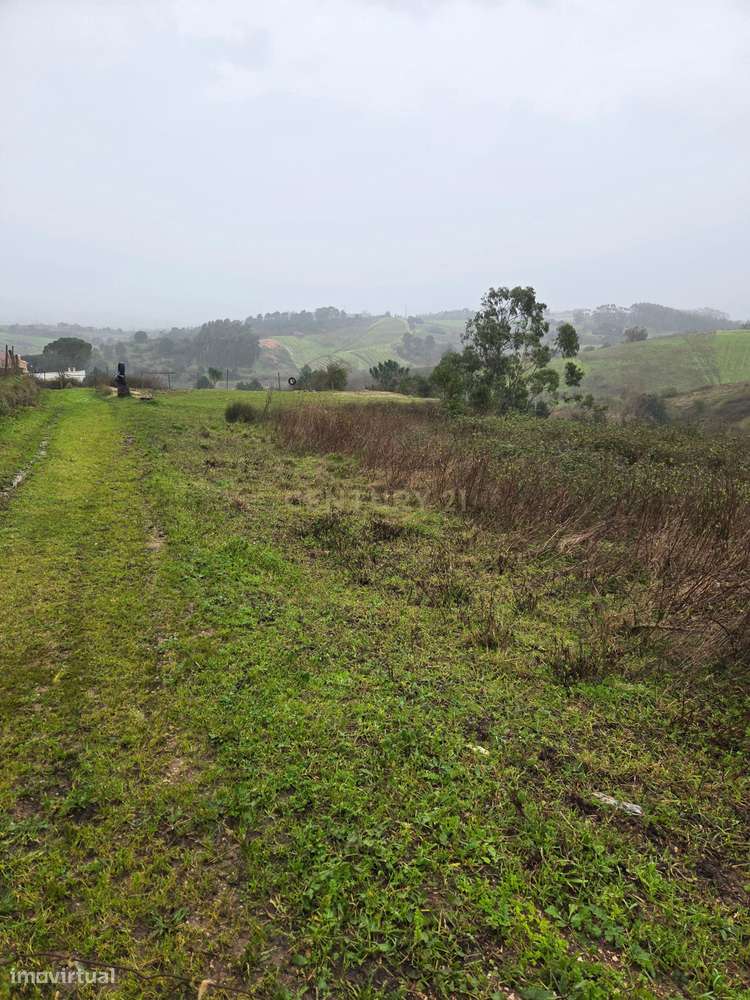 Terreno Rústico em Olhalvo, Alenquer - Oportunidade Única - Grande imagem: 4/23