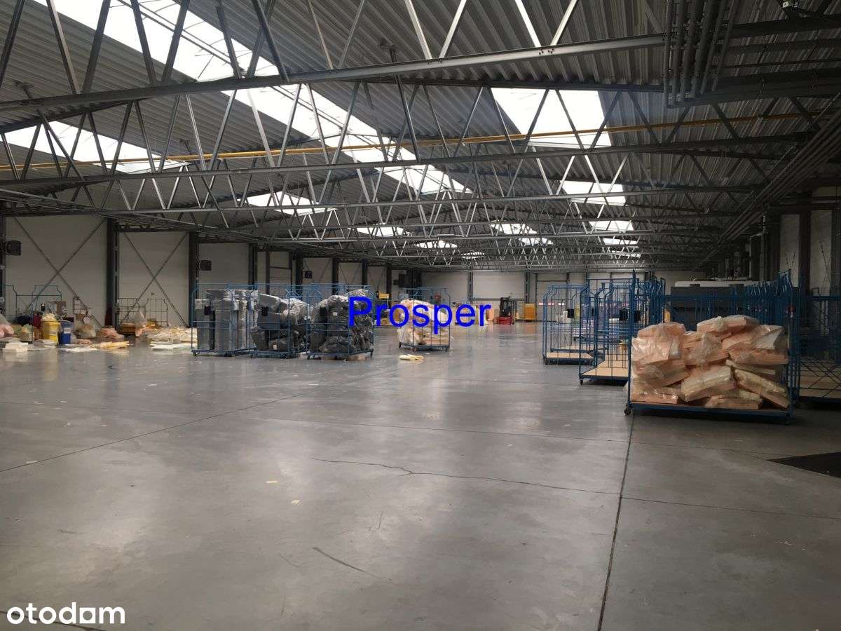 hala mag-prod. wys.5m - Pełny obrazek: 2/9