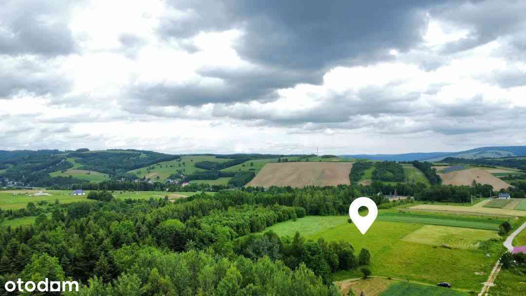 Widokowa działka na Pogórzu Dynowskim-0