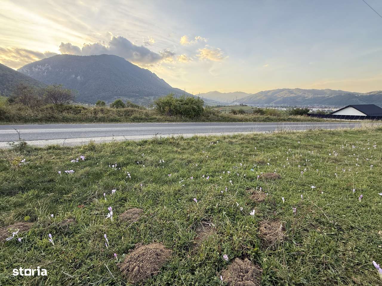 Teren intravilan 500 sau 1000 mp Bran-Tohanita la dum asfaltat-6