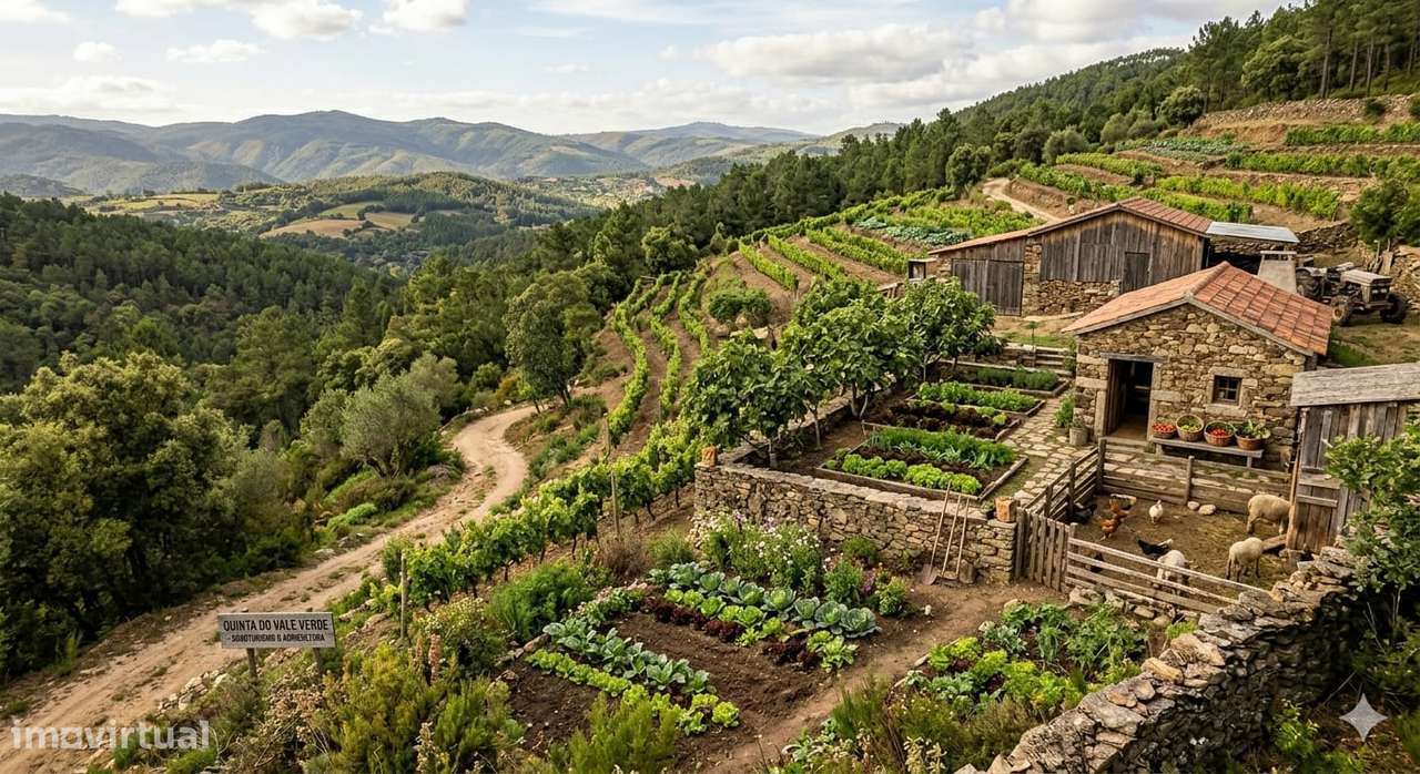 Terreno com 21 000 m2 Tábua Coimbra - Grande imagem: 2/8