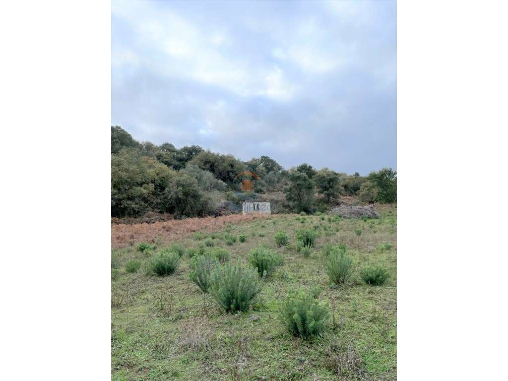 Lote com 25.500 m2 em Arruda dos Vinhos - Grande imagem: 5/9