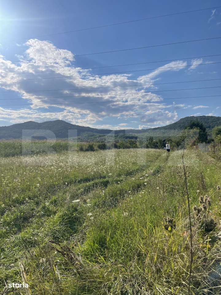 Teren intravilan Viisoara – ideal pentru casa sau investitie - Imagine principală: 2/2