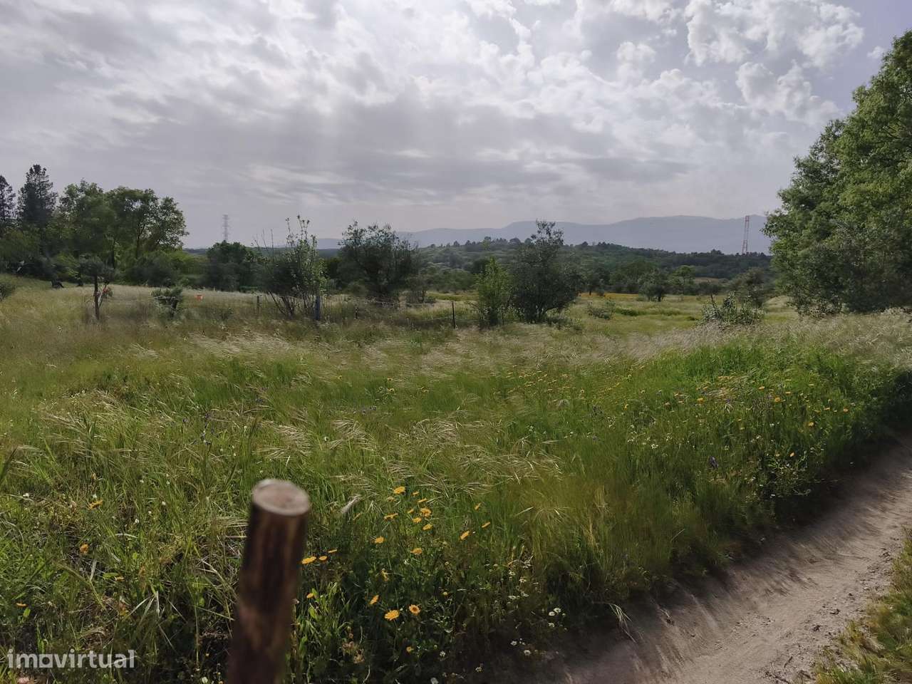 Terreno rustico em castanheira de baixo Peraboa-1