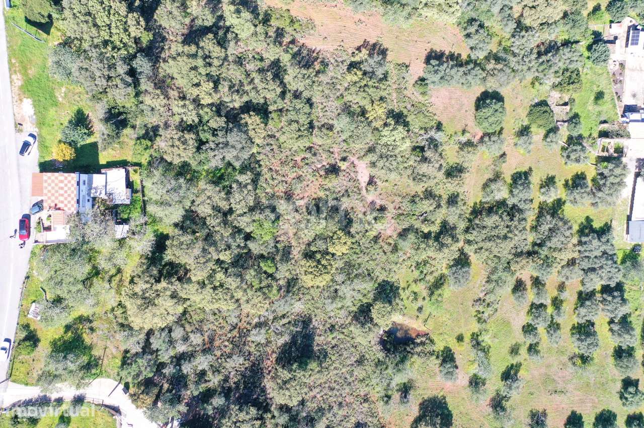 Terreno p/ Construção Moradia Independente 230 m2 - Grande imagem: 5/33