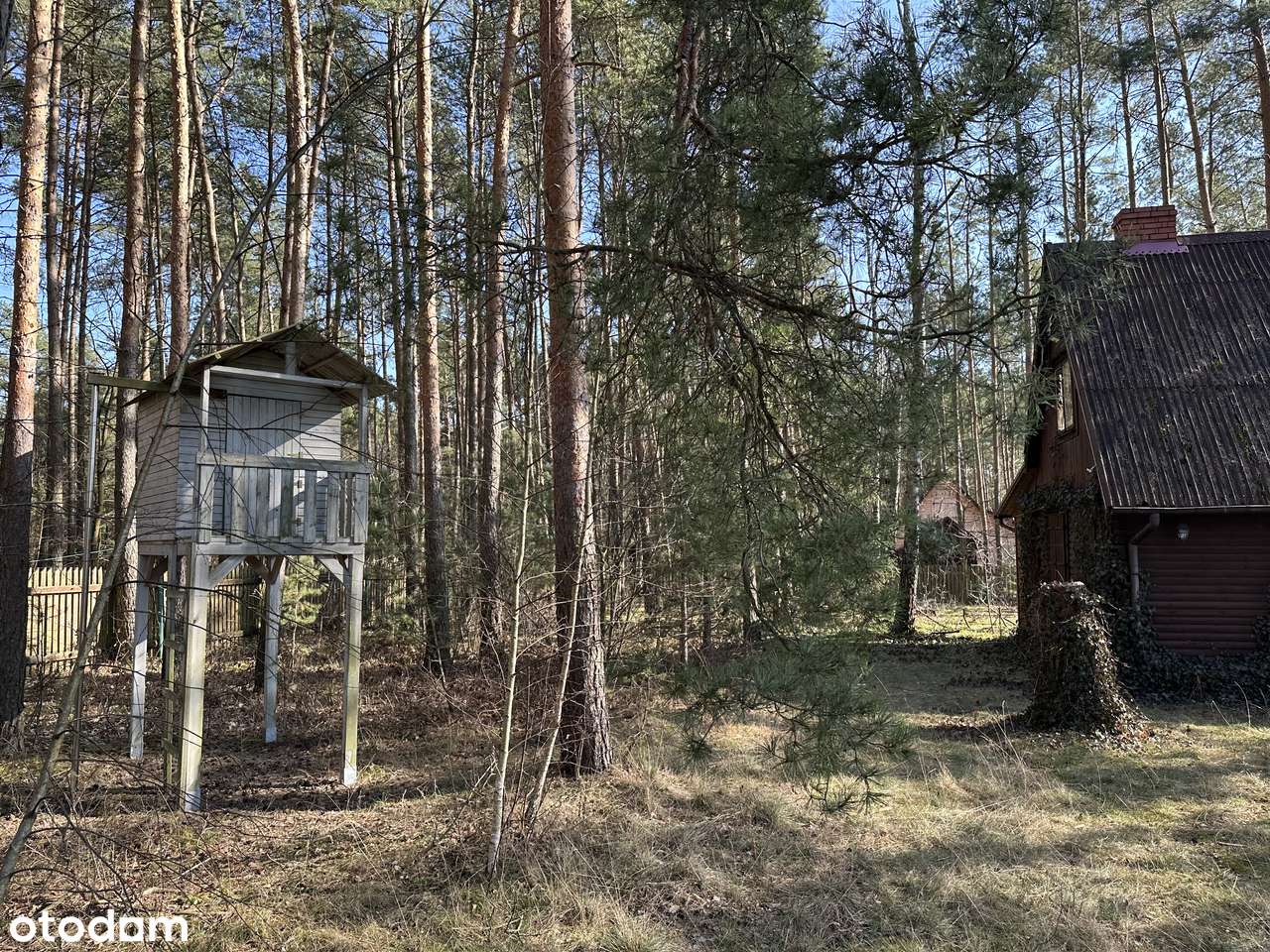 Klimatyczna działka 1620 m² z domkiem w lesie w Kamieńczyku - Rafa - Pełny obrazek: 4/10