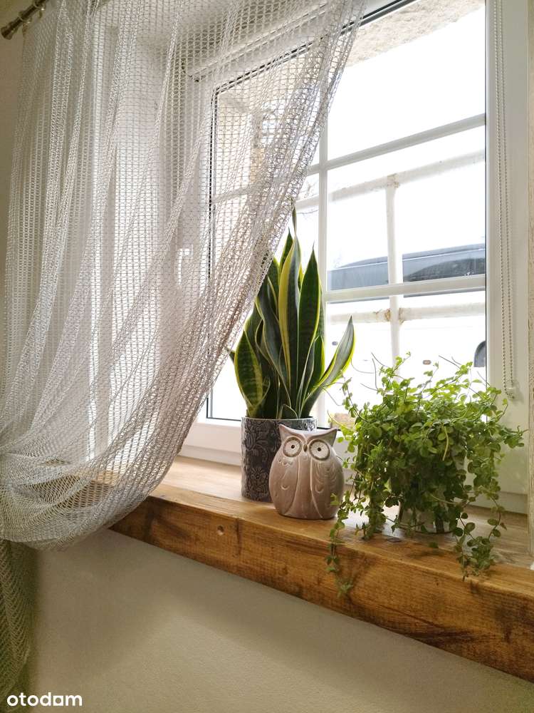 Karpacz - dwa apartamenty w cenie jednego - Pełny obrazek: 5/15