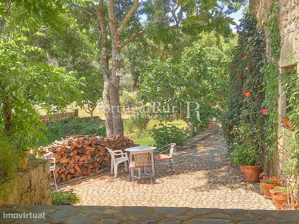 Quinta Rural 8.000 m2 - 2 Casas Habitáveis - confina com Ribeira-18