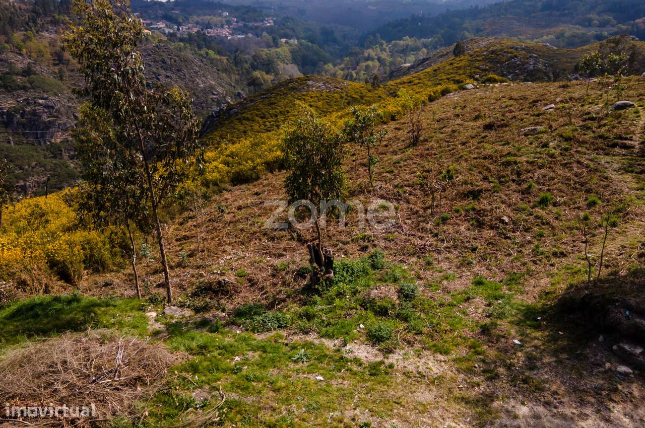 Terreno Versátil de 12.000m² em Ruivães, Vieira do Minho - Grande imagem: 3/20