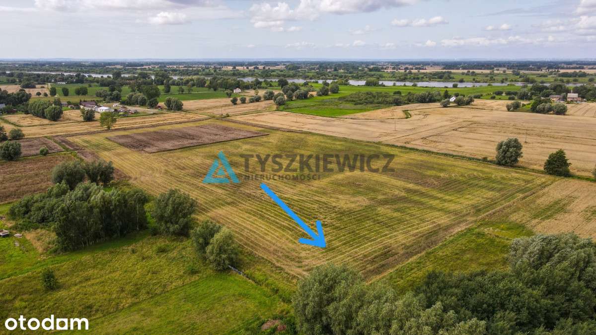 Działka blisko Ostaszewa - Piaskowiec, pow. 3000m2 - Pełny obrazek: 4/18