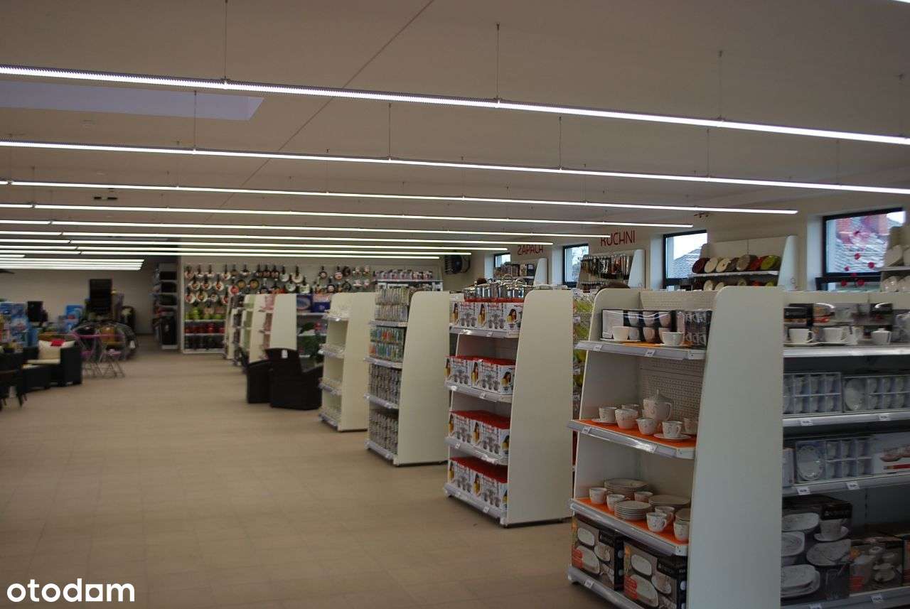 Lokal użytkowy, 500 m², Nowa Wieś - Pełny obrazek: 4/6