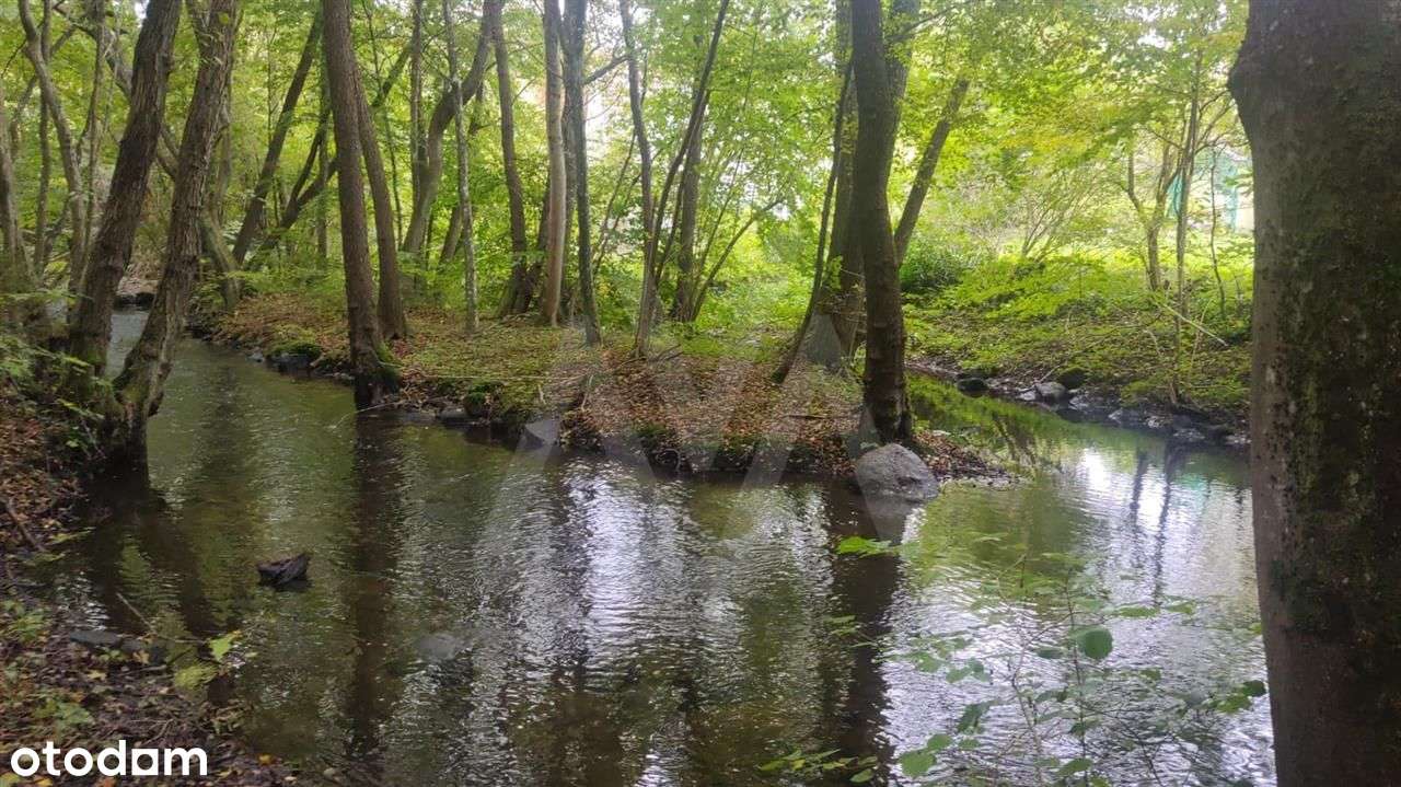 Ukryta Dolina, Elitarna Enklawa 12 Ha Blisko Morza-3