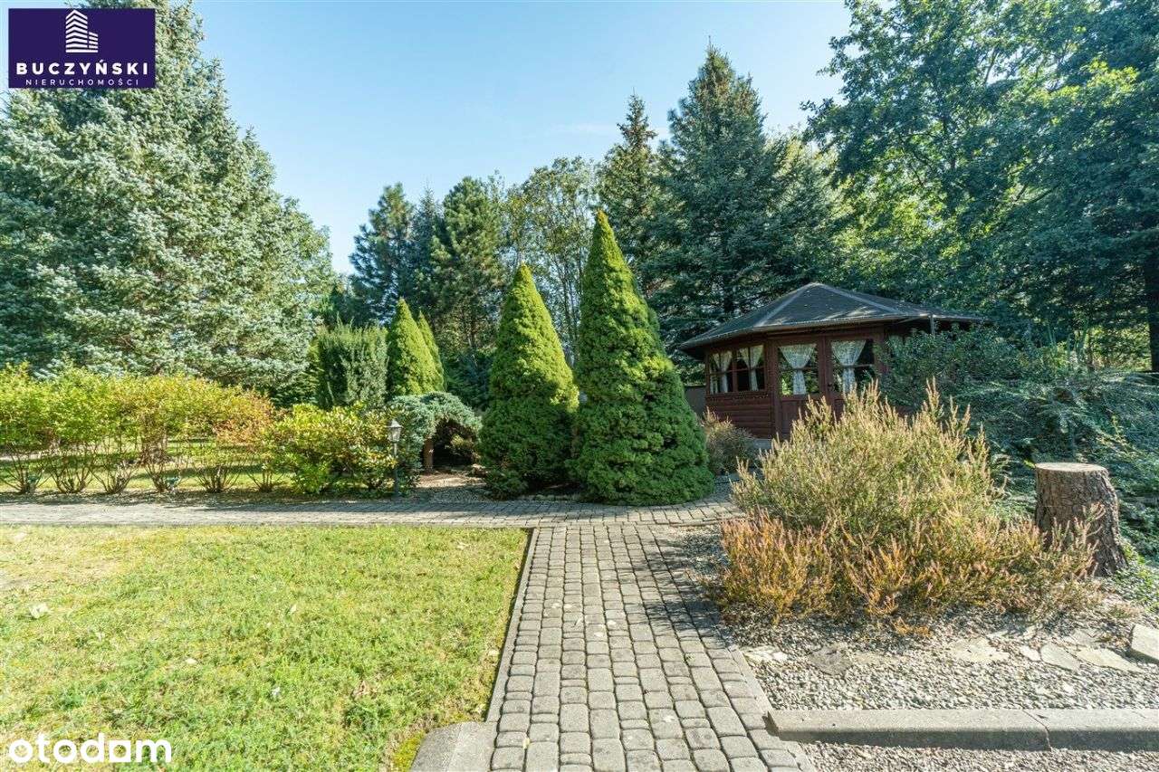 Skorzystaj z Okazji!-6