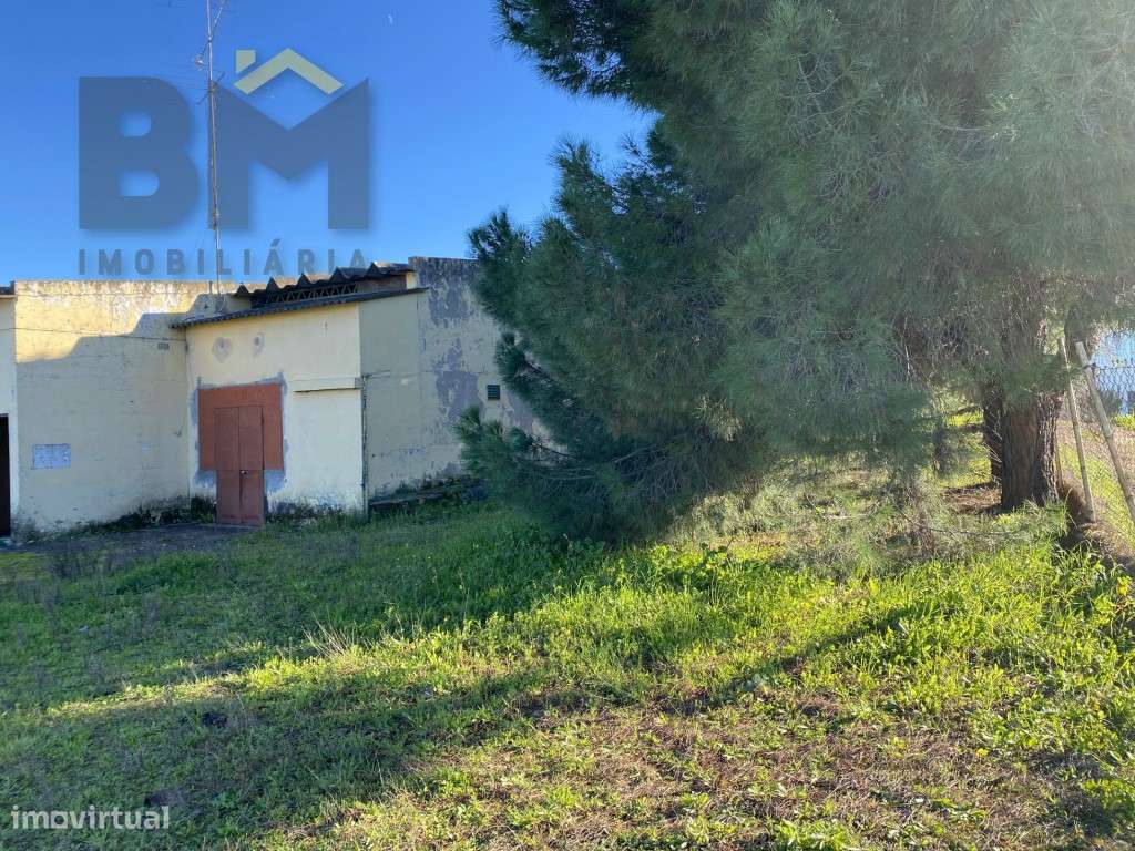 Estabelecimento Comercial perto de Castelo Branco - Grande imagem: 5/60