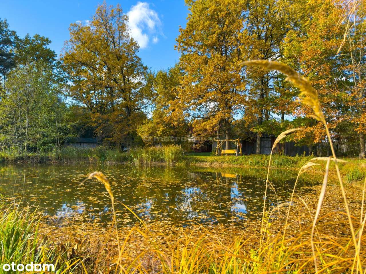 Działka 0,82 ha ze stawem i domem. - Pełny obrazek: 5/13