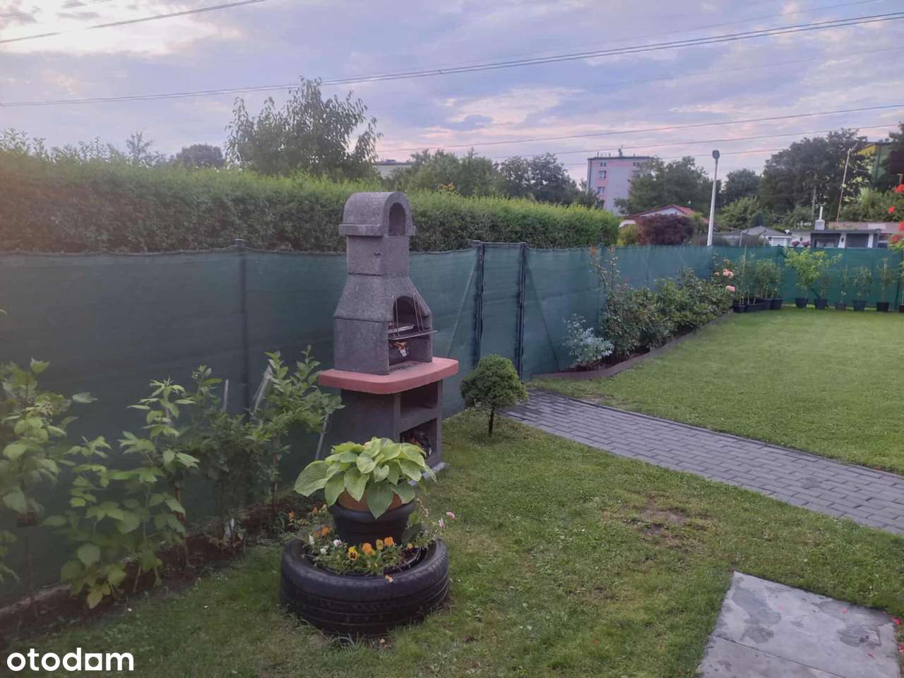 Sprzedam ogródek działkowy ROD „Zacisze” – po generalnym remoncie! - Pełny obrazek: 5/11