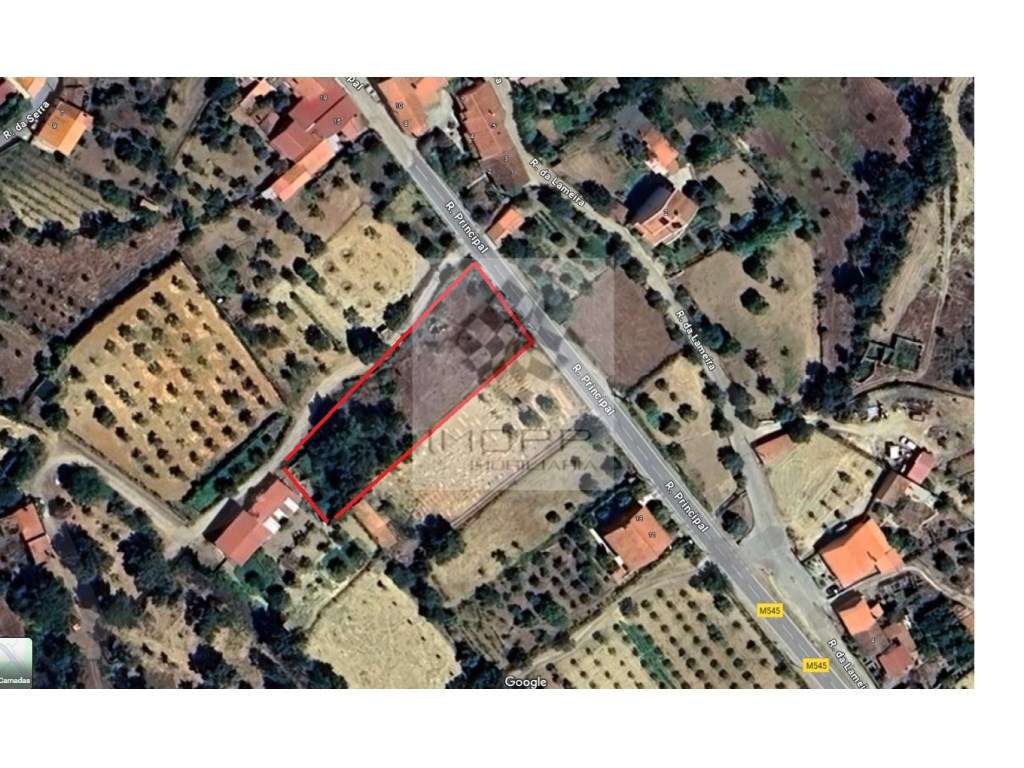 Terreno em aldeia próximo Vila Velha de Rodão - Grande imagem: 4/4