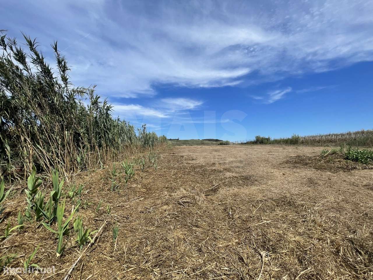 Terreno Rústico Perto do Baleal - Grande imagem: 3/31