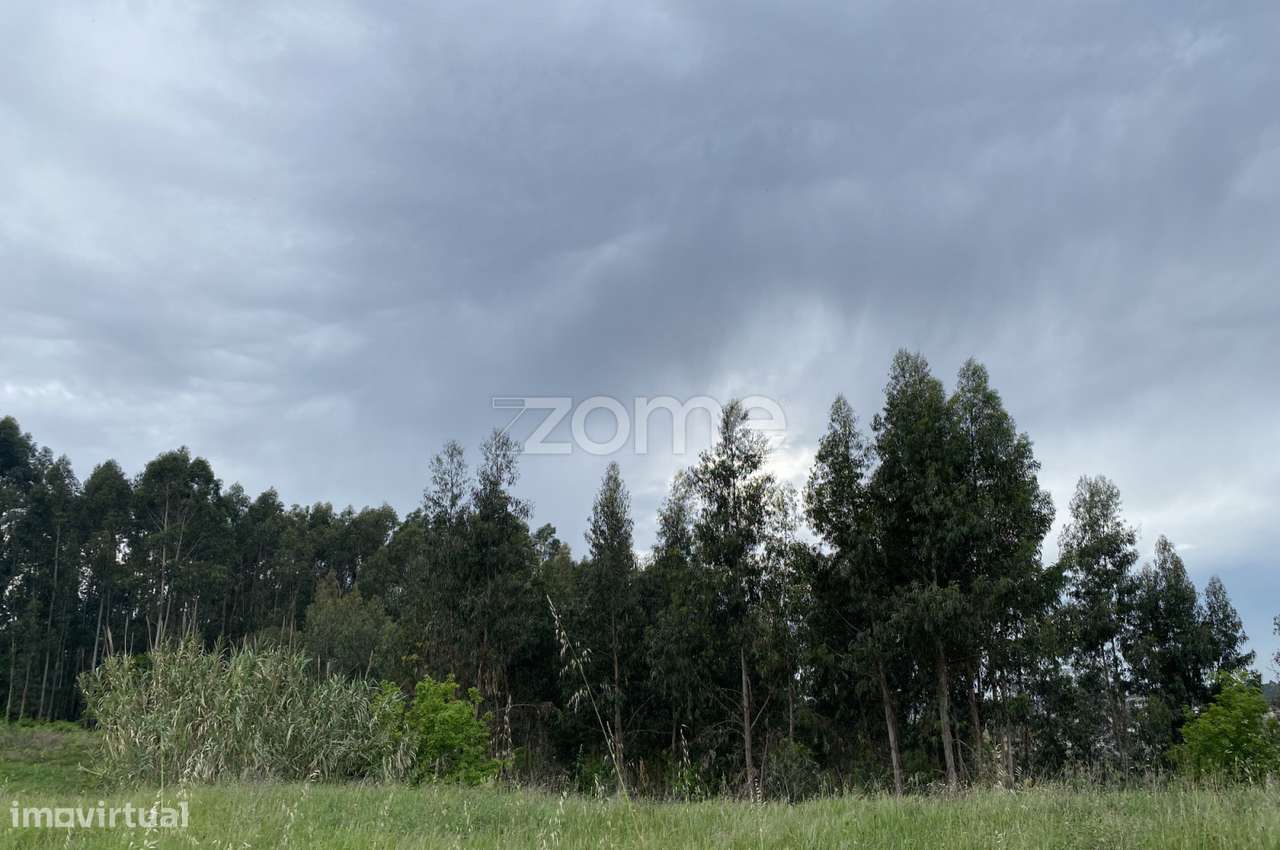 Terreno para Construção | Com 8800m2 - Grande imagem: 5/22