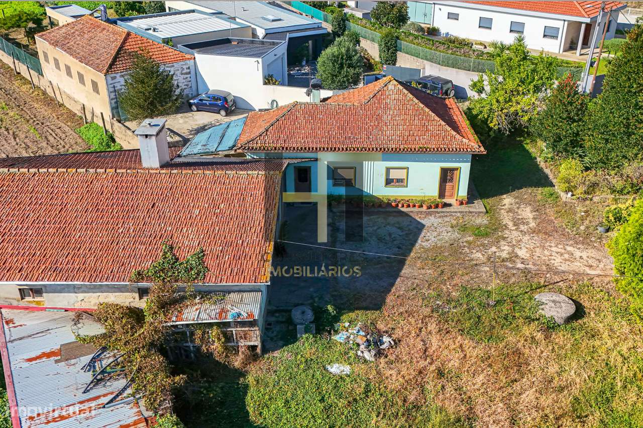 Moradia Térrea T3 com Terreno de 1500m² para Renovar – São Pedro - Grande imagem: 5/16