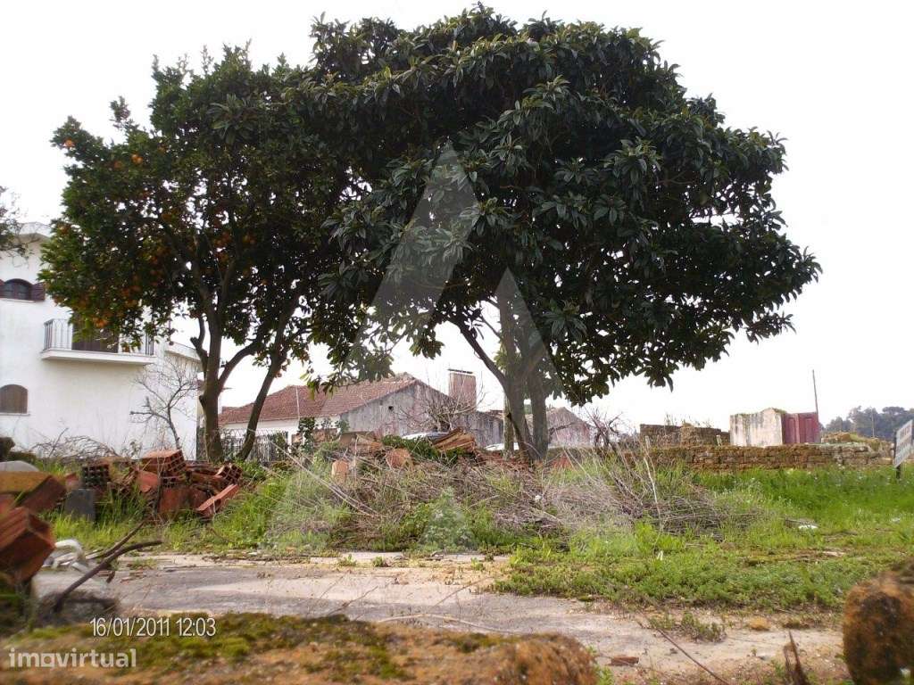 Terreno localizado em Troviscal e Mamarrosa - Grande imagem: 2/4