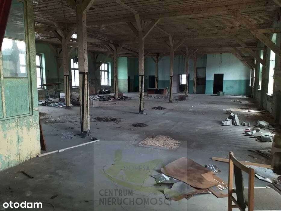 Hale, magazyny i powierzchnie produkcyjne 13000 m2-4