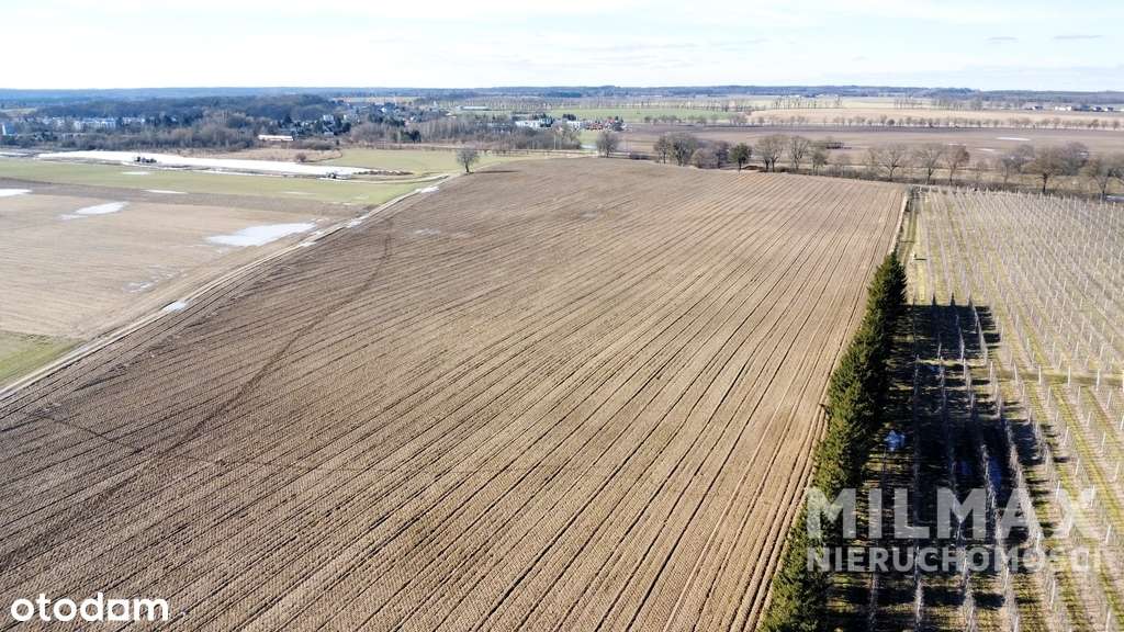 Rola - 7,83 ha - Trojanowo-5