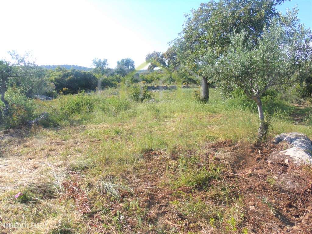 Ruína com Terreno Plano em Santa Bárbara de Nexe, Faro - Grande imagem: 3/9