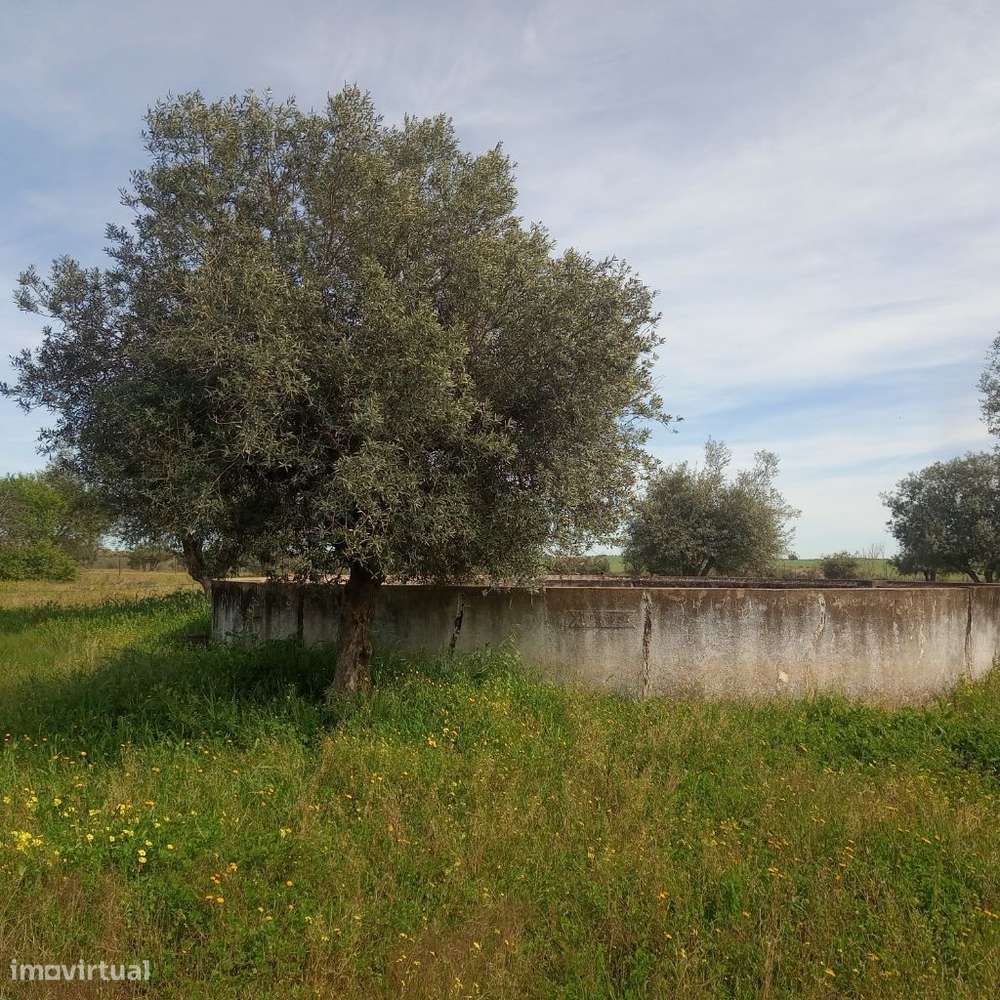 Monte Alentejano junto a Mourão-11