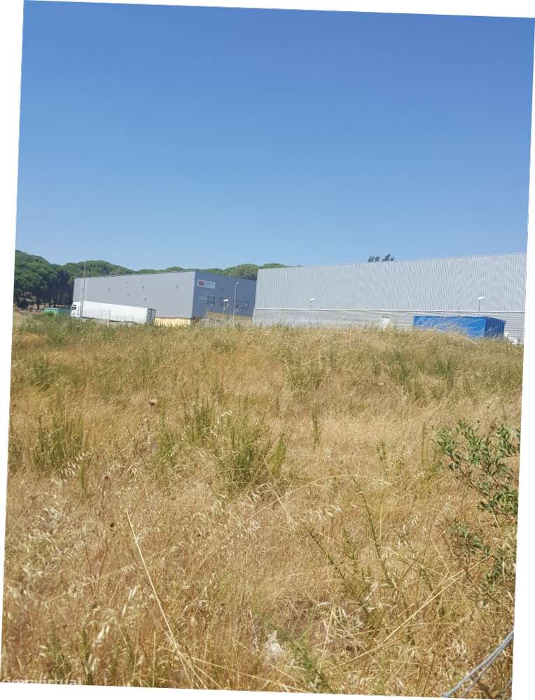 Terreno industrial para venda em Vila Nova da Rainha - Grande imagem: 2/8