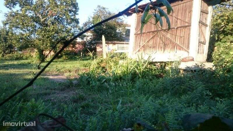 Moradia para reconstrução e Quinta com barracão, canastro e poço. - Grande imagem: 5/11