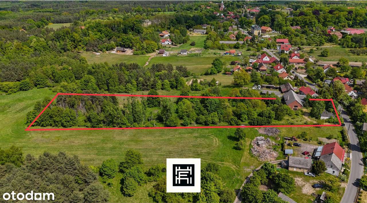 Industrialna stodoła, wielki teren i las–czy to będzie Twoje miejsce?-1