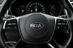 Kia Sorento 2.2 CRDi AWD Aut. Platinum Edition - 26