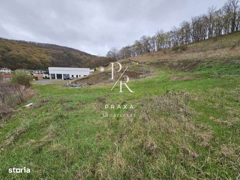 EXCLUSIVITATE! Teren de vanzare, 5.000 mp+ Restaurant mobilat si utila - Imagine principală: 2/19