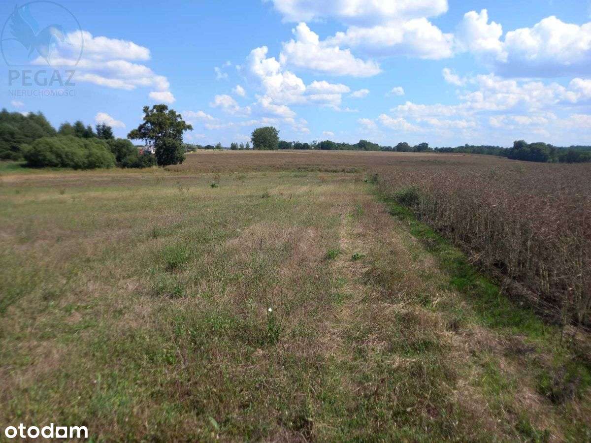 Działka Budowlana Mpzp Chycina Ostatnie 3 - Pełny obrazek: 4/10