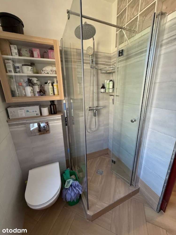 Przytulna kawalerka z oddzielną kuchnią, Sołacz-11