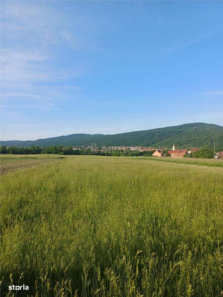 Teren intravilan de vanzare cartier Armeni - Imagine principală: 1/3