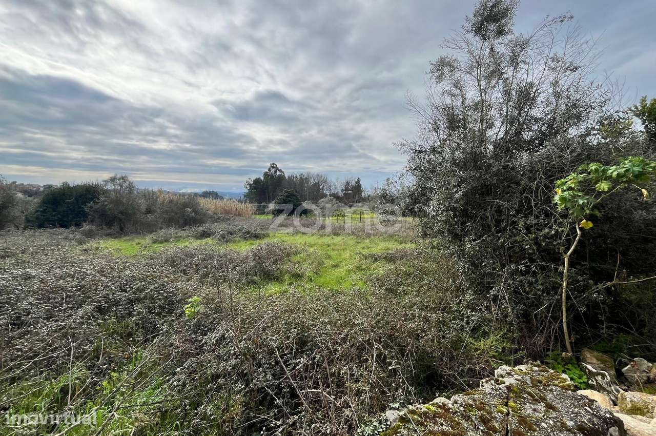 Terrenos Urbanizáveis em Serviçaria, Rio de Moinhos, Satão, Viseu. - Grande imagem: 4/15