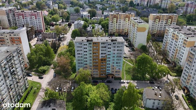 2 pokoje, do odświeżenia, balkon, komórka, rozkład