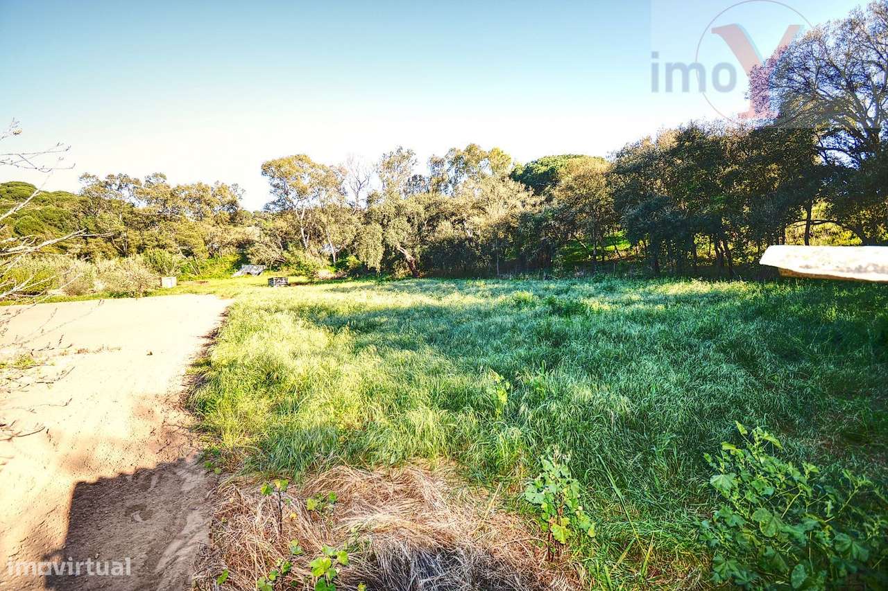 Quinta em Melides-14