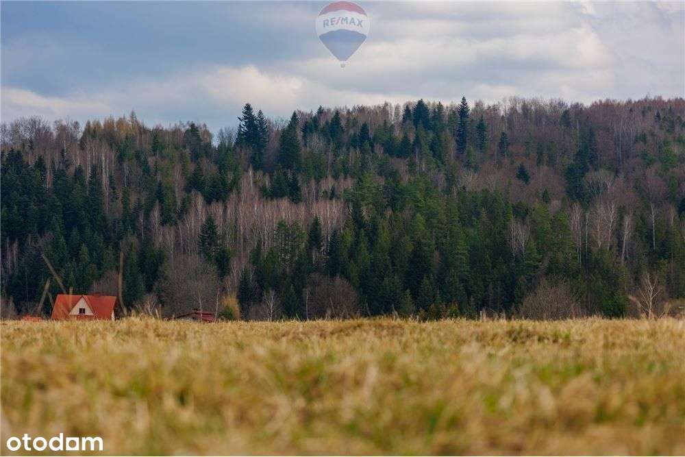 Działka w Sopotni Wielkiej k.Żywca - Pełny obrazek: 5/15