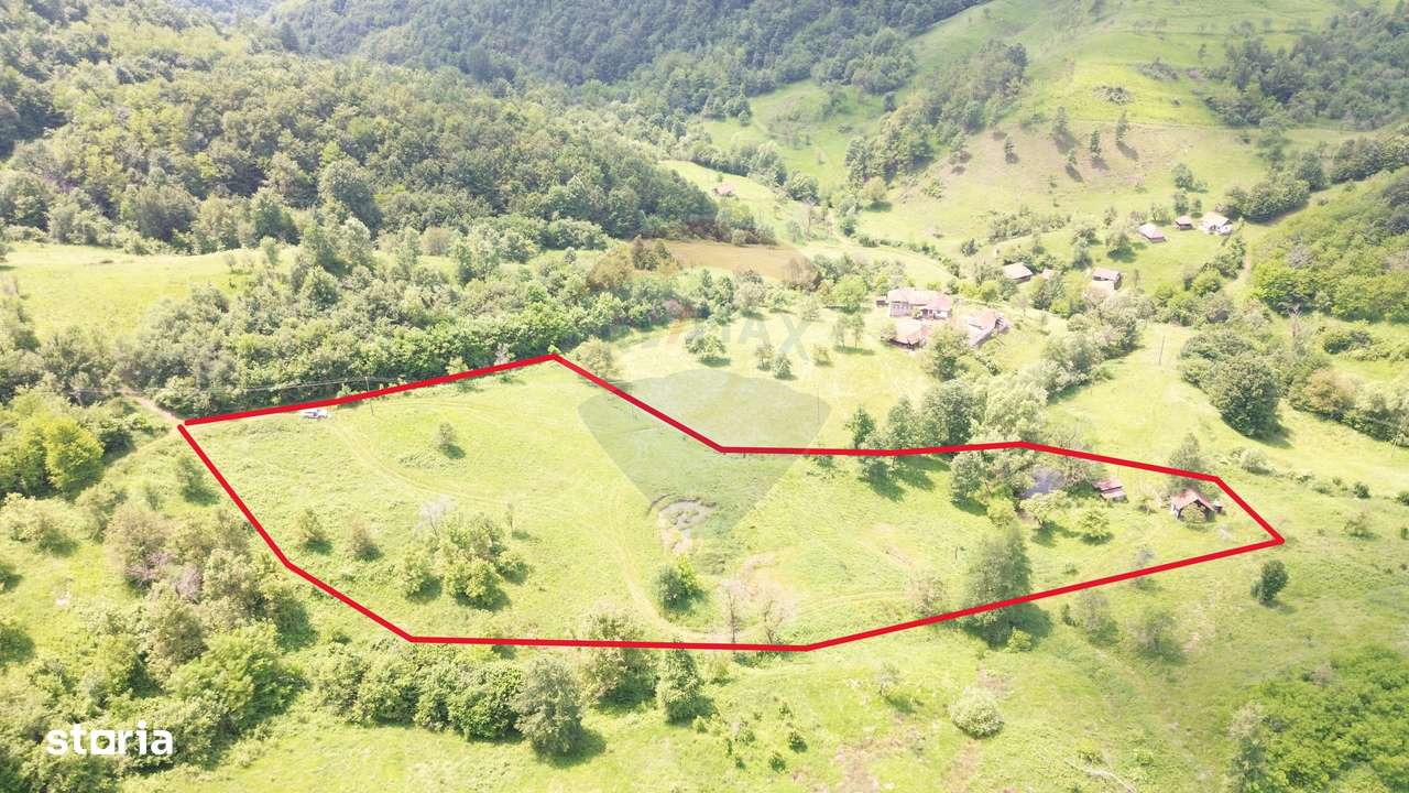 Teren intravilan de vis în Munții Apuseni, curent + izvor – 13.811 mp - Imagine principală: 5/18