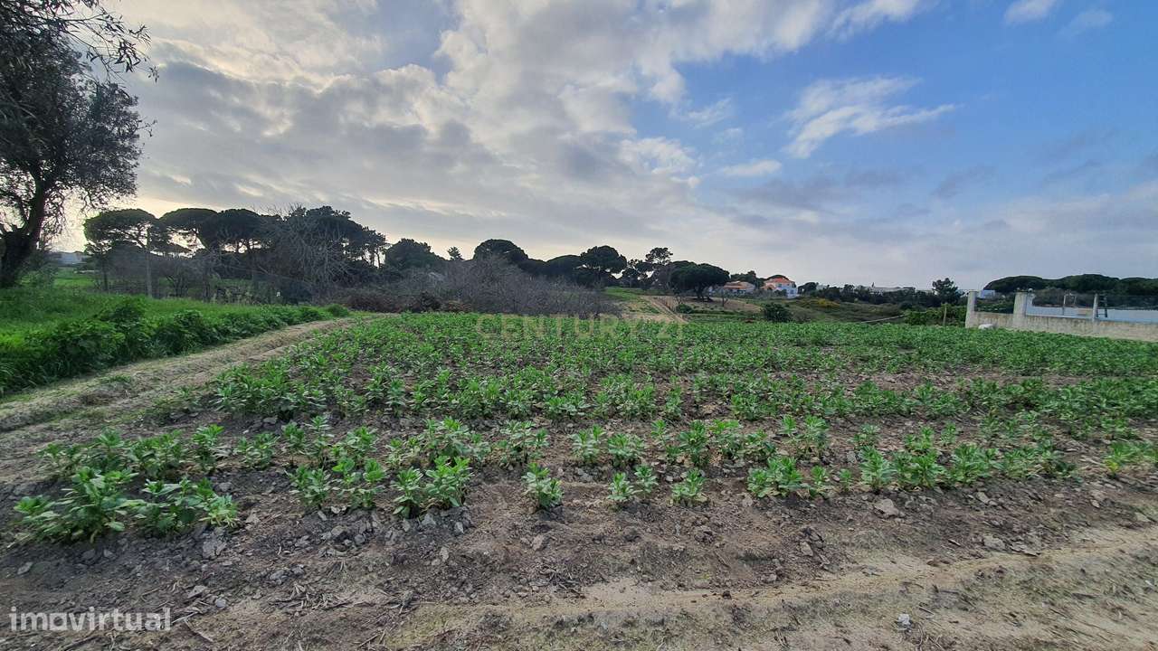 Terreno no meco para apoio agricola ou empreendimento turistico.-9