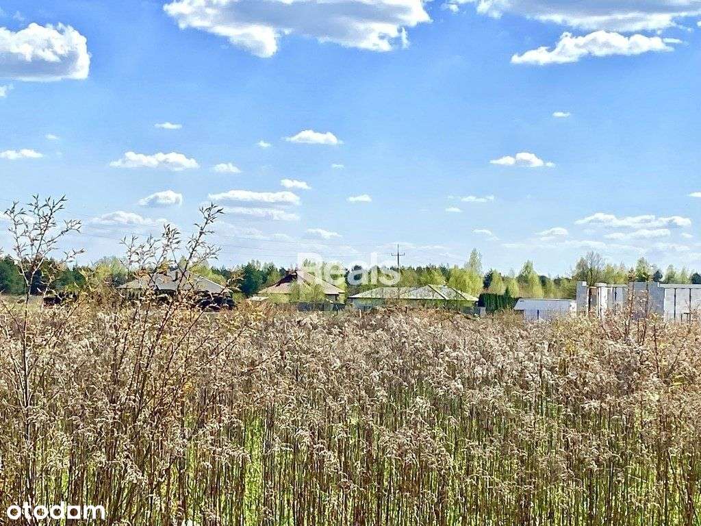 Działka budowlana 1290 m2 Czosnów. - Pełny obrazek: 5/5