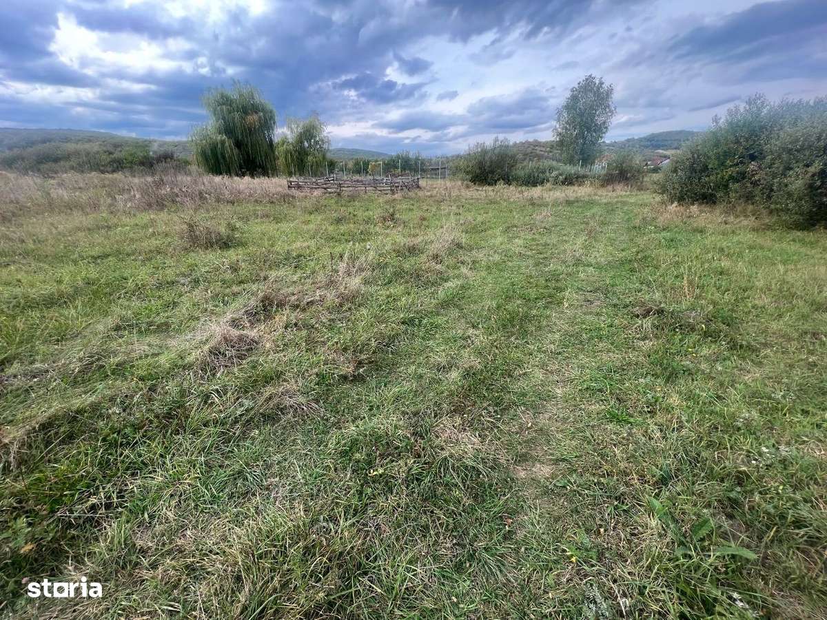 Vând parcelă teren 40 arii Unirea - Imagine principală: 2/5