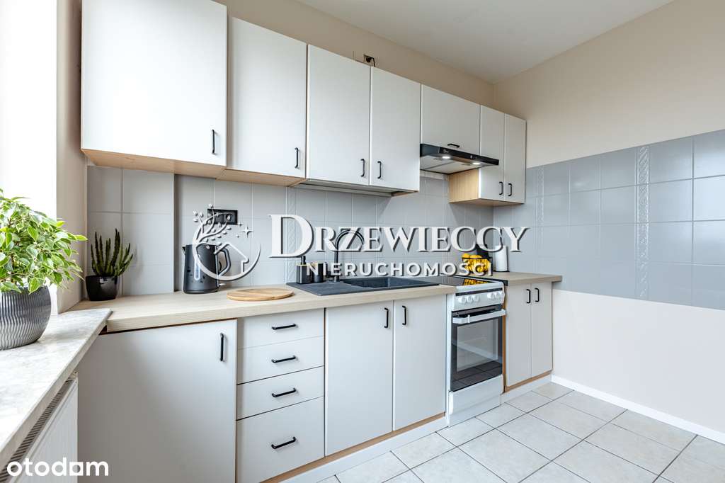 Studio niesamowity widok las – obok parku-9