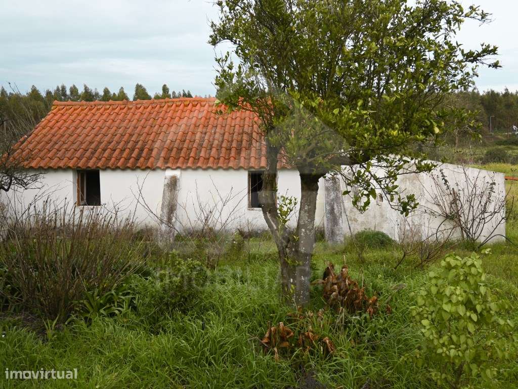 Quinta T4 nos Foros da Branca-21