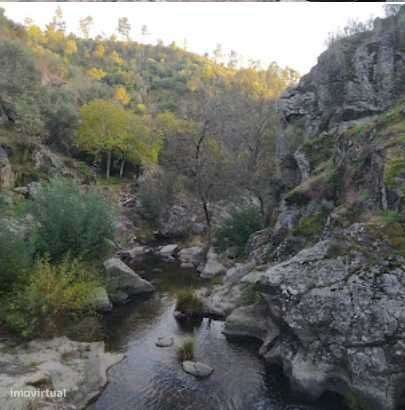 Terreno Mouriscas - Grande imagem: 4/4